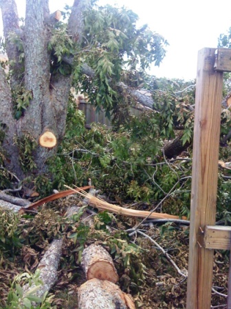 Name:  IMG_0598.JPG
Views: 671
Size:  97.2 KB