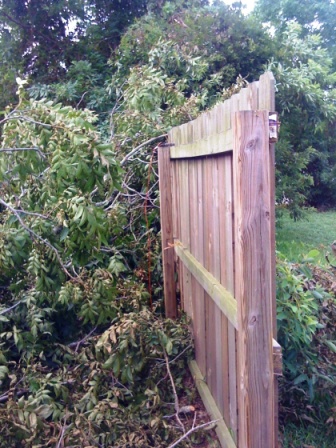 Name:  IMG_0600.JPG
Views: 747
Size:  101.8 KB