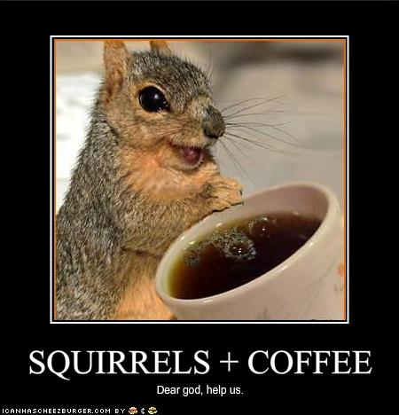 Name:  Cheerful-And-Playful-Squirrels-5.jpg
Views: 340
Size:  32.2 KB