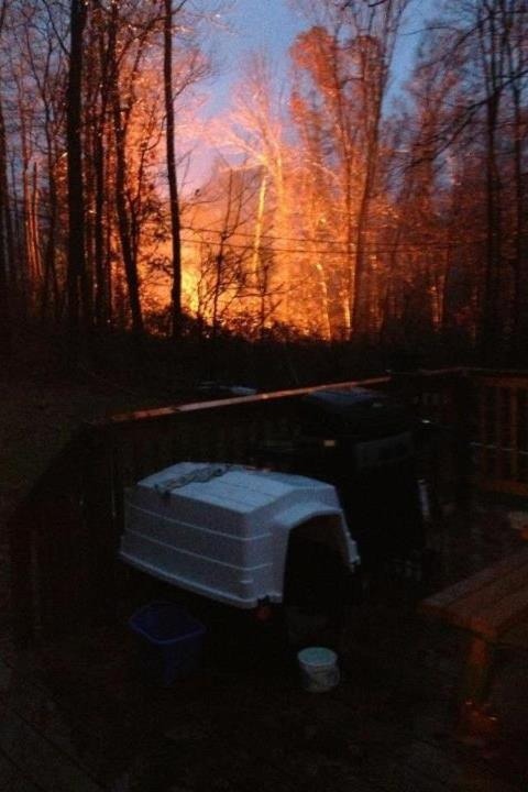 Name:  ImageUploadedByTapatalk1351550112.961533.jpg
Views: 352
Size:  65.1 KB