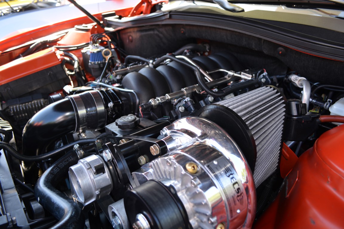 Name:  DSC_0107 (Medium).JPG
Views: 535
Size:  274.5 KB