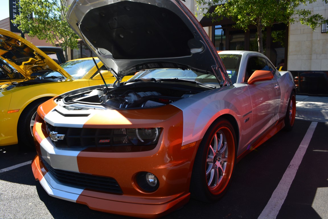 Name:  DSC_0108 (Medium).JPG
Views: 511
Size:  269.3 KB