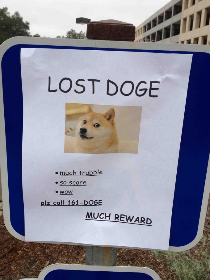 Name:  lost doge.jpg
Views: 3938
Size:  91.6 KB