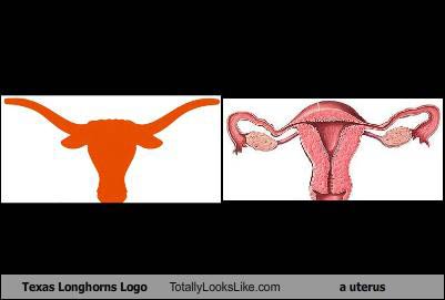 Name:  texas-longhorn-tll-uterus1.jpg
Views: 3552
Size:  11.1 KB