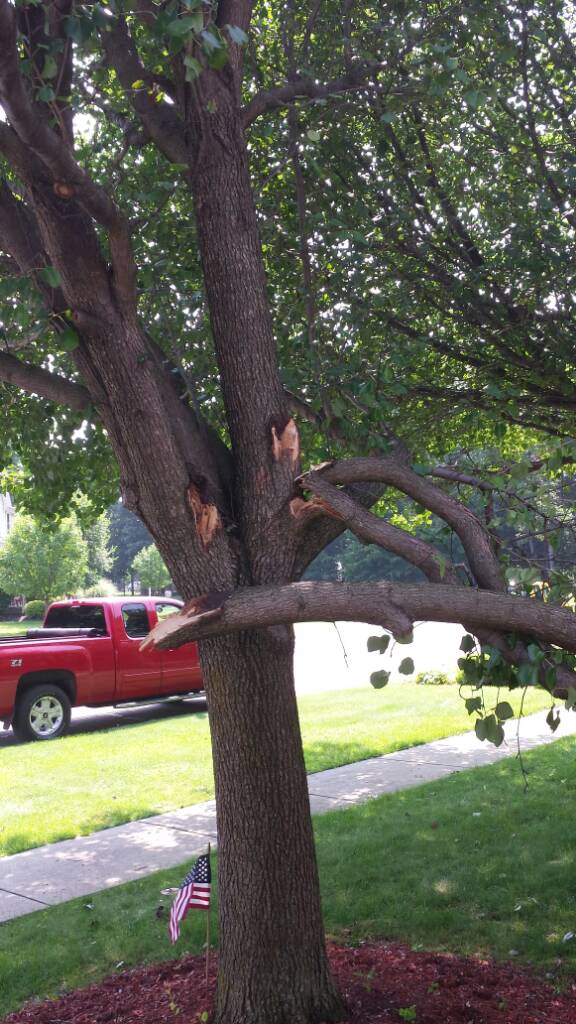 Name:  uploadfromtaptalk1407195019676.jpg
Views: 1293
Size:  114.4 KB