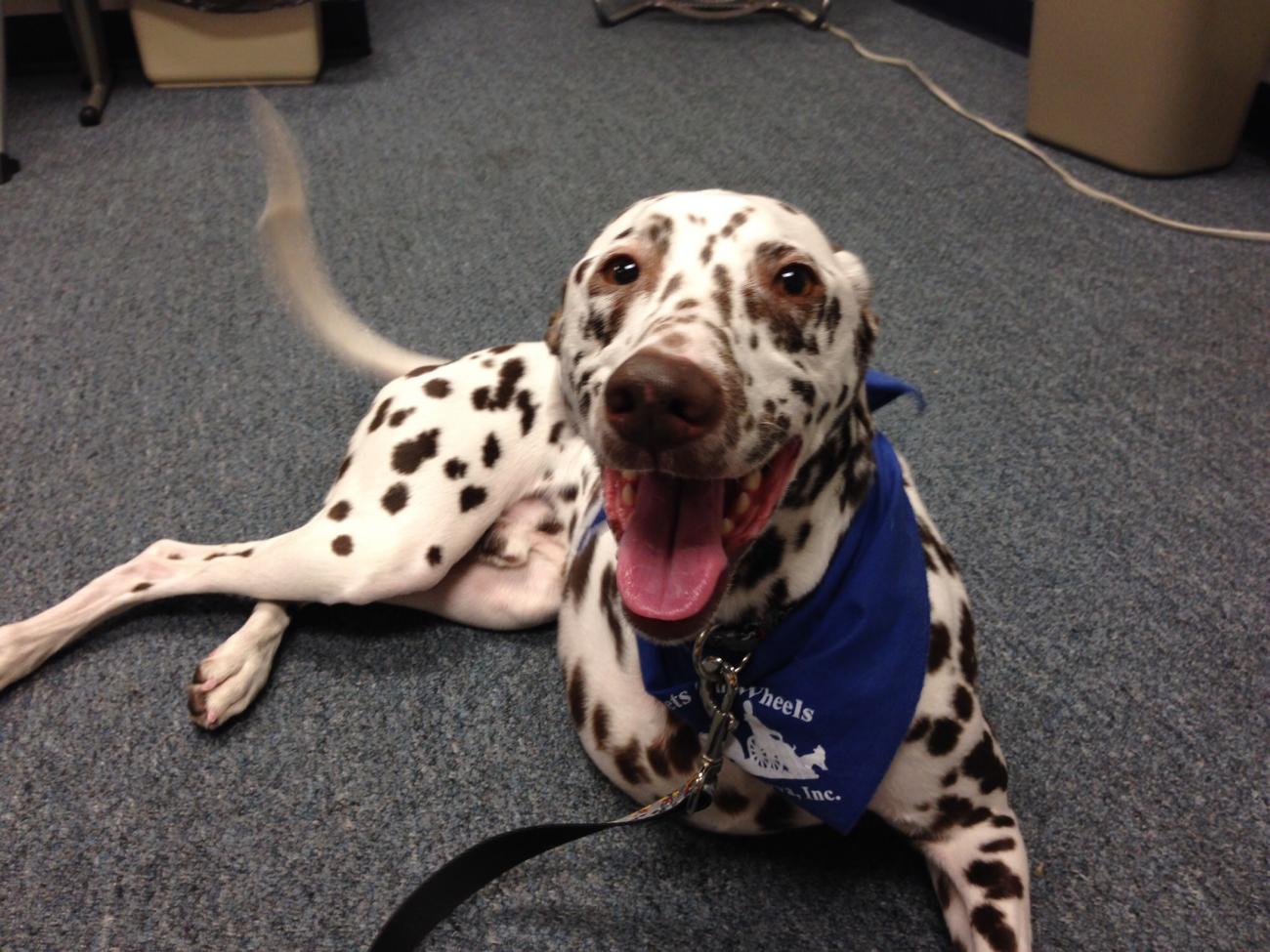 Name:  image.jpg
Views: 639
Size:  165.7 KB