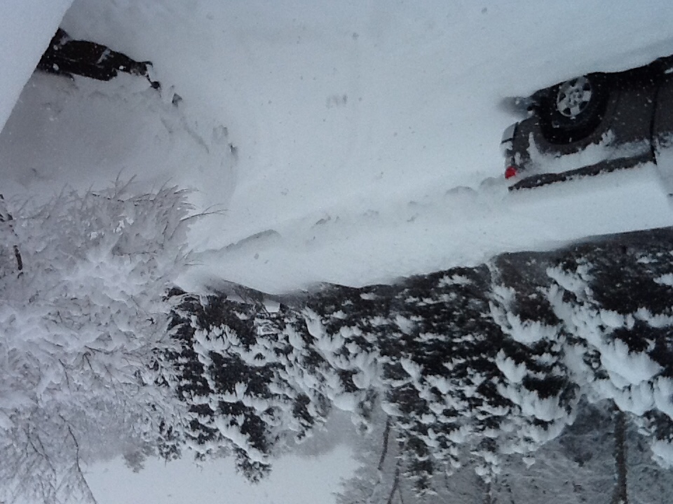 Name:  ImageUploadedByTapatalk1425583764.175860.jpg
Views: 471
Size:  232.5 KB