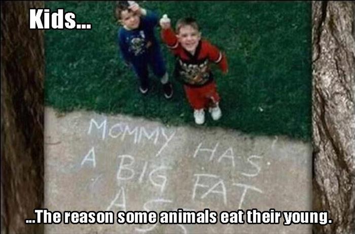 Name:  big ass.jpg
Views: 1576
Size:  56.2 KB