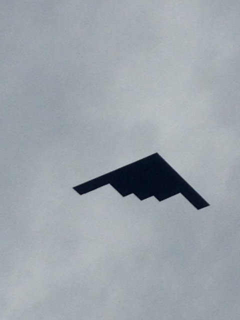 Name:  Tall10.jpg
Views: 703
Size:  61.6 KB