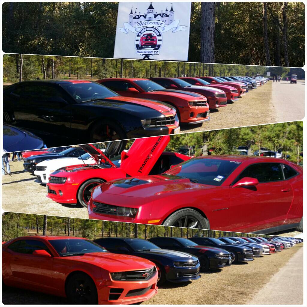Name:  ren fest 2014a.jpg
Views: 338
Size:  180.6 KB