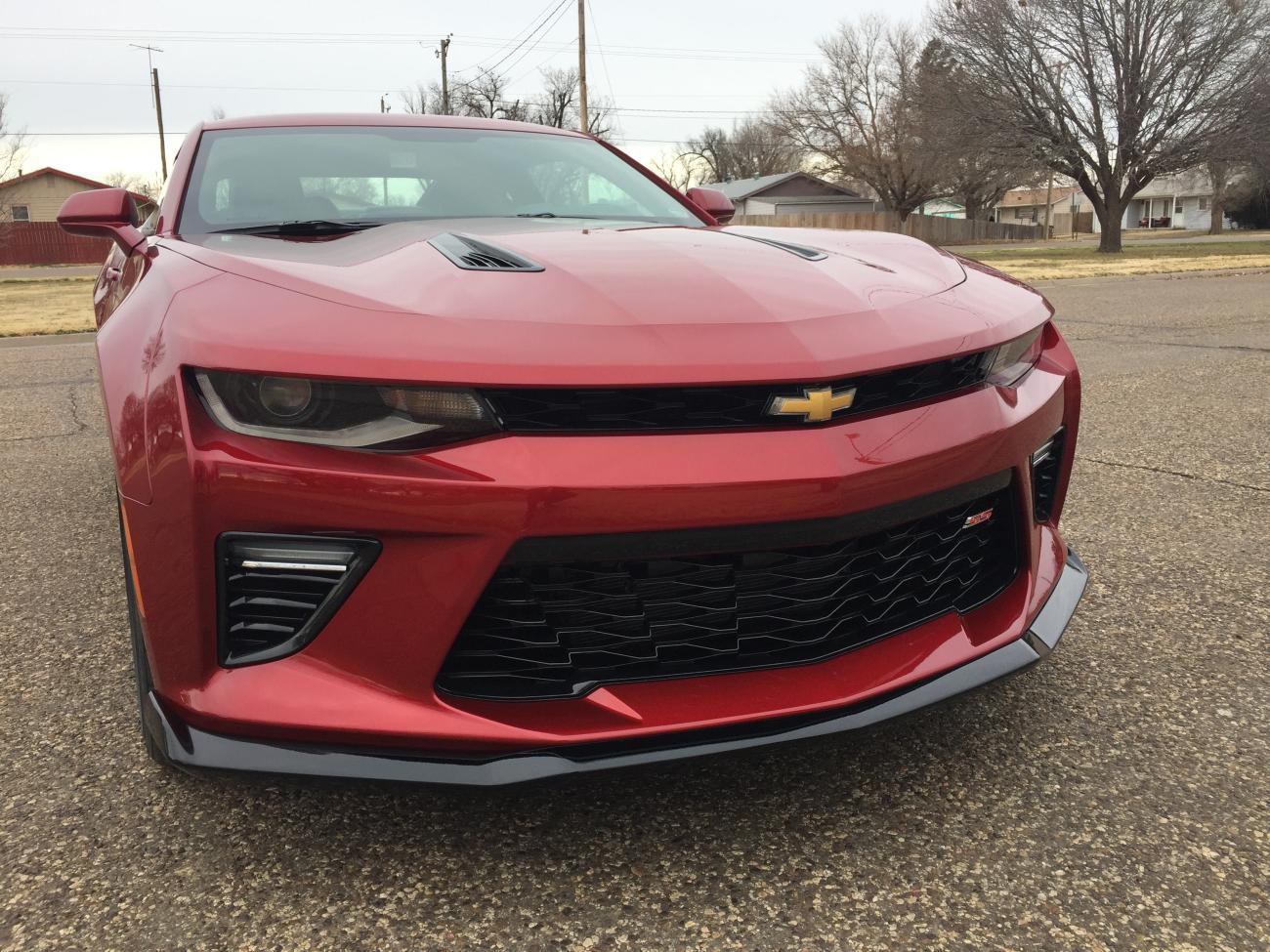 Name:  IMG_1722[1].jpg
Views: 105
Size:  221.0 KB