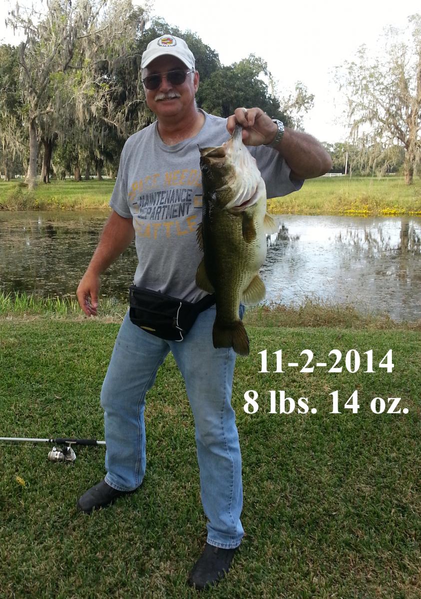 Name:  11-2-14 8lb 14oz fish2.jpg
Views: 281
Size:  228.9 KB