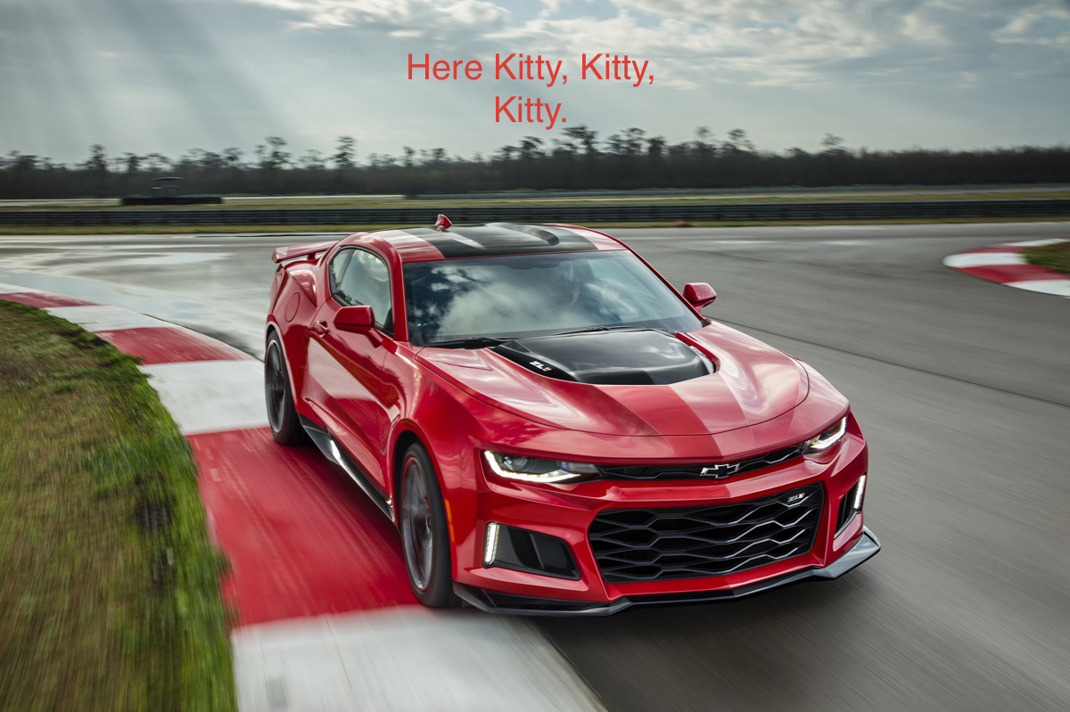 Name:  2017-Chevrolet-Camaro-ZL1-022.jpg
Views: 8864
Size:  434.8 KB