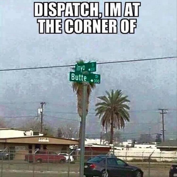 Name:  IN YO BUTT.jpg
Views: 1513
Size:  68.9 KB