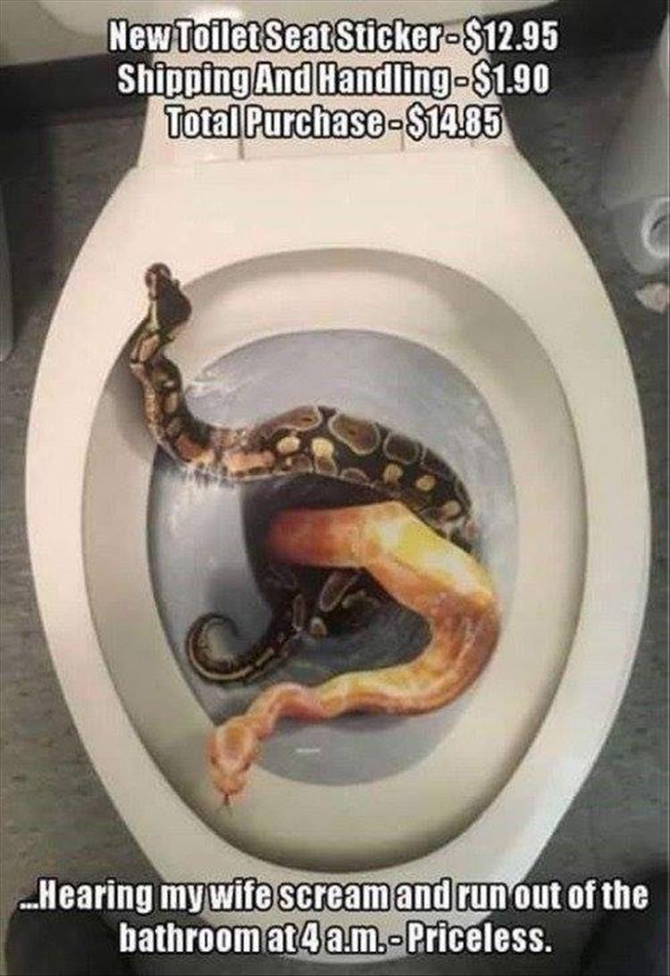 Name:  SNAKE STICKER.jpg
Views: 1166
Size:  97.4 KB