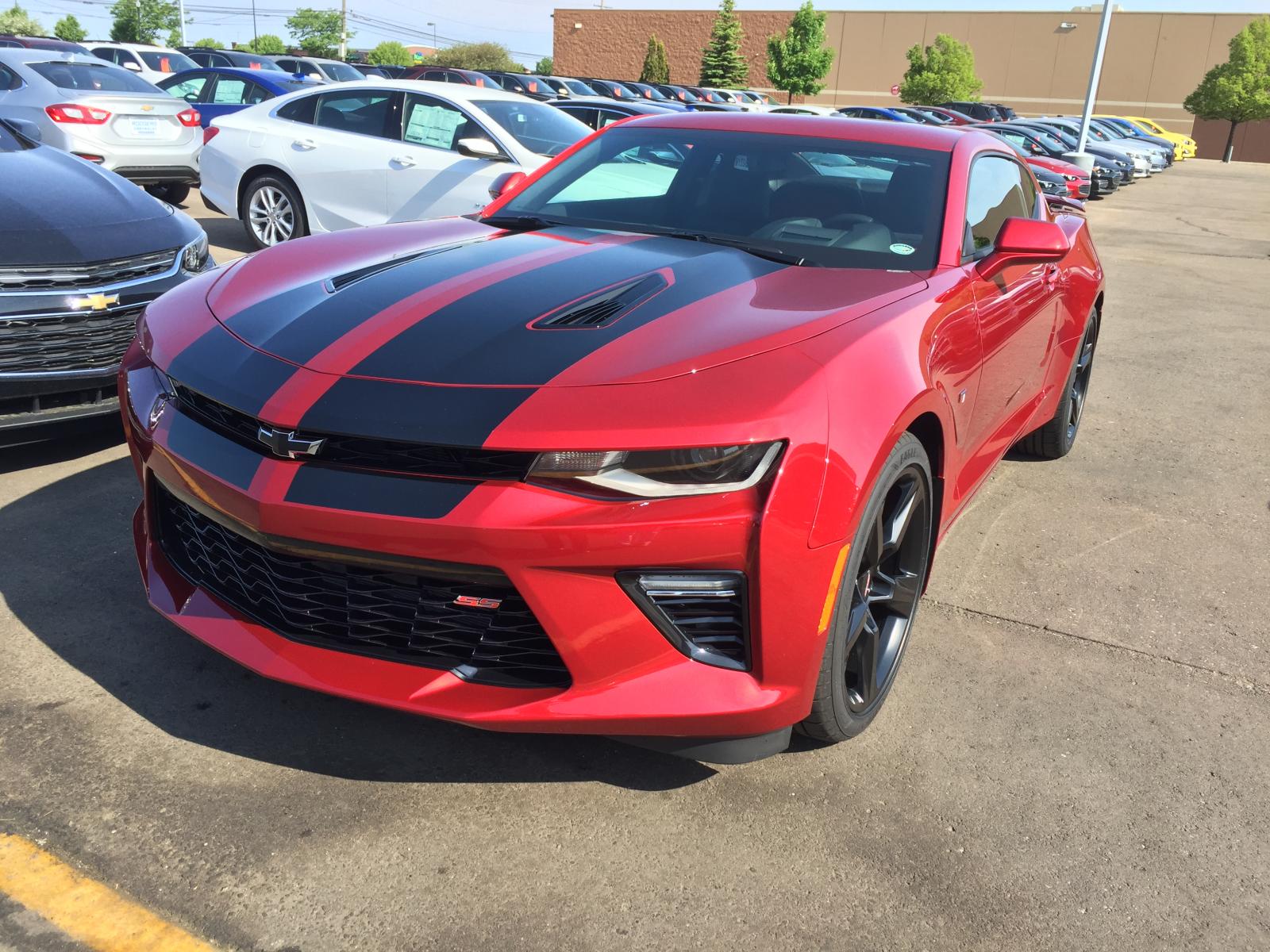 Name:  2016-06-01 09.44.34 HDR.jpg
Views: 251
Size:  303.6 KB