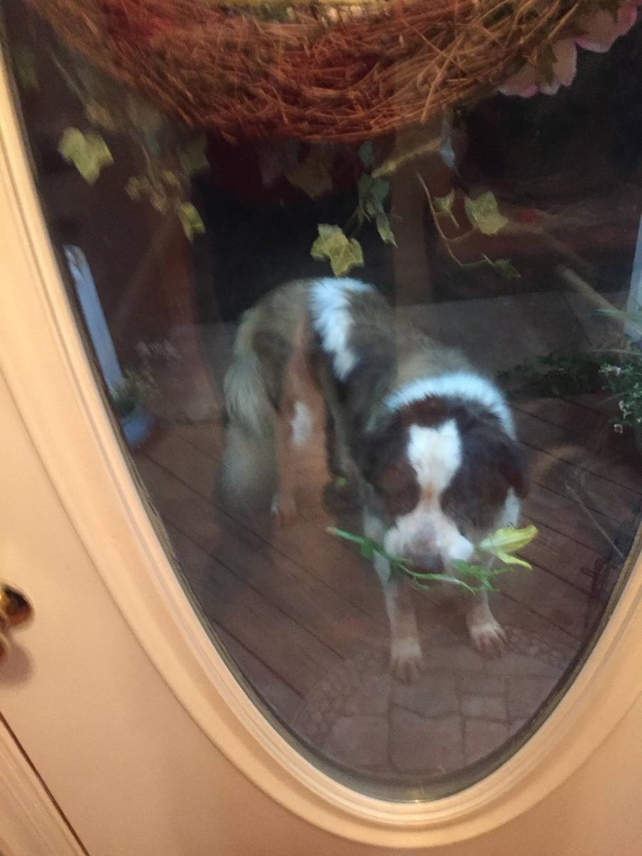 Name:  KEENA.jpg
Views: 426
Size:  94.6 KB