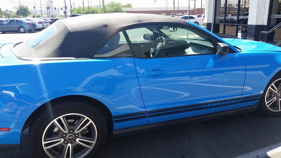 Name:  Mikey's love.jpg
Views: 1430
Size:  71.0 KB