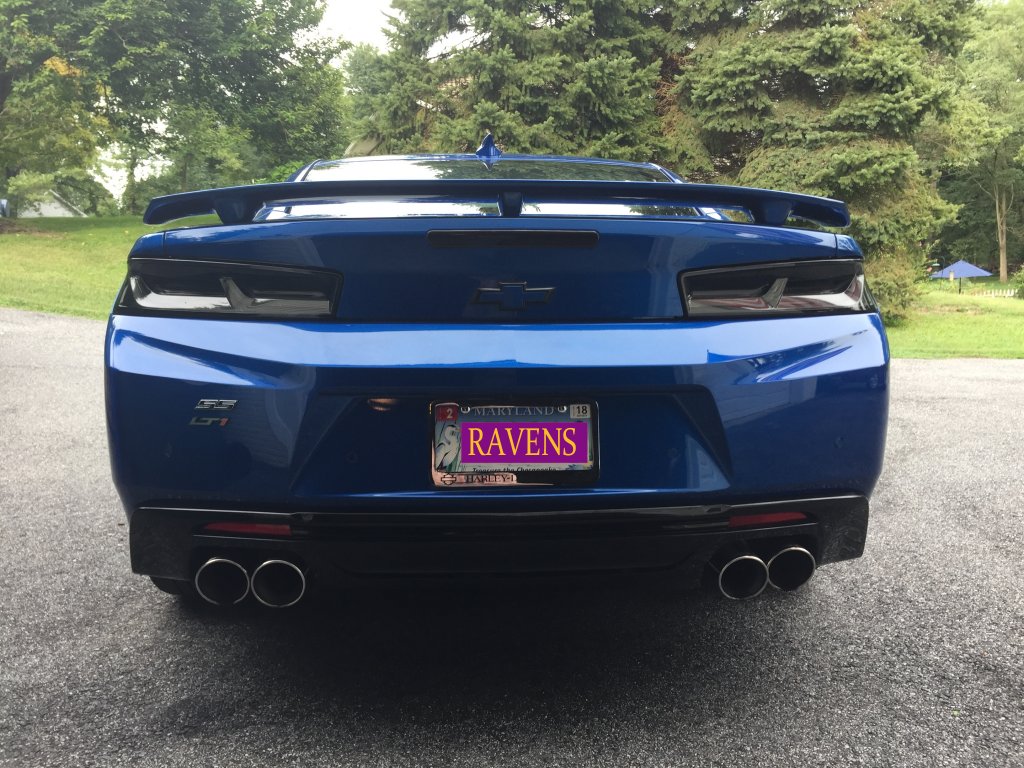 Name:  rear.jpg
Views: 923
Size:  195.5 KB