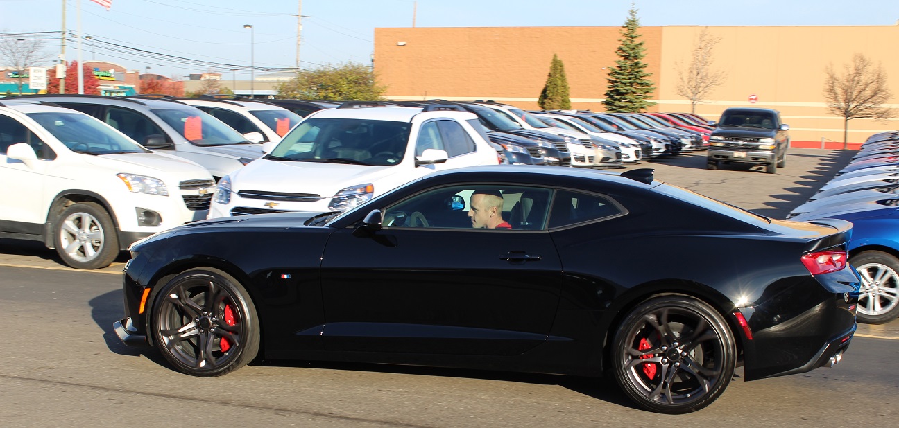 Name:  brandon5.jpg
Views: 1688
Size:  279.1 KB