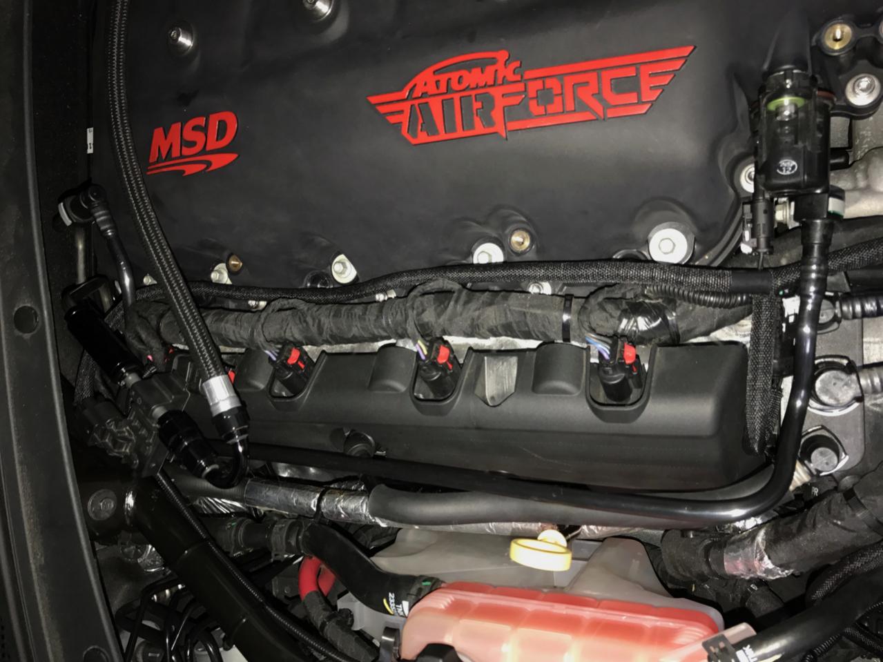 Name:  IMG_9879 (1).jpg
Views: 1107
Size:  137.1 KB