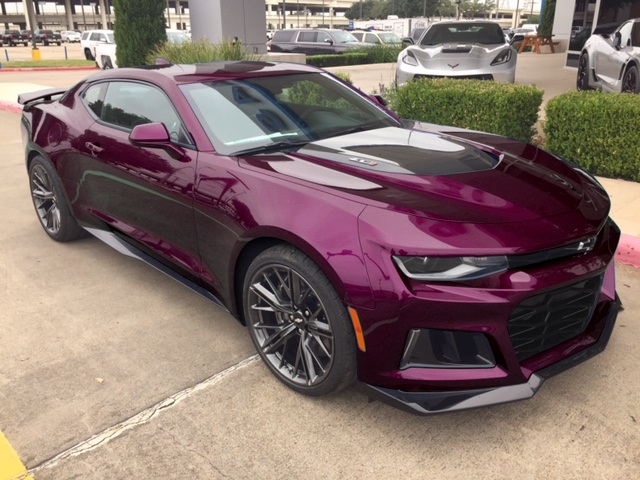 Name:  black rose.jpg
Views: 3007
Size:  128.1 KB