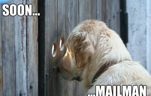 Name:  -The-Dog-Is-Waiting-LOL-MEME.jpg
Views: 257
Size:  35.7 KB