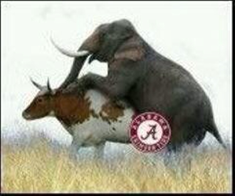 Name:  photo.jpg
Views: 388
Size:  85.2 KB