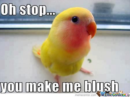 Name:  blush.jpg
Views: 454
Size:  21.3 KB