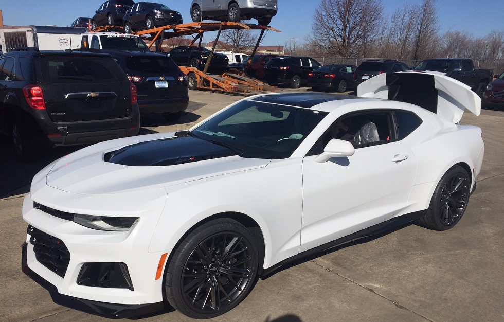 Name:  Becky3.jpg
Views: 621
Size:  220.9 KB