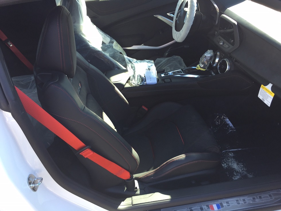 Name:  Becky3.5.jpg
Views: 9666
Size:  160.5 KB