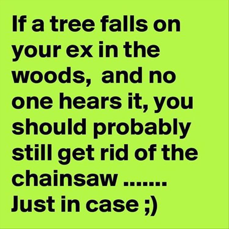 Name:  tree-falls-on-your-ex.jpg
Views: 1318
Size:  70.9 KB