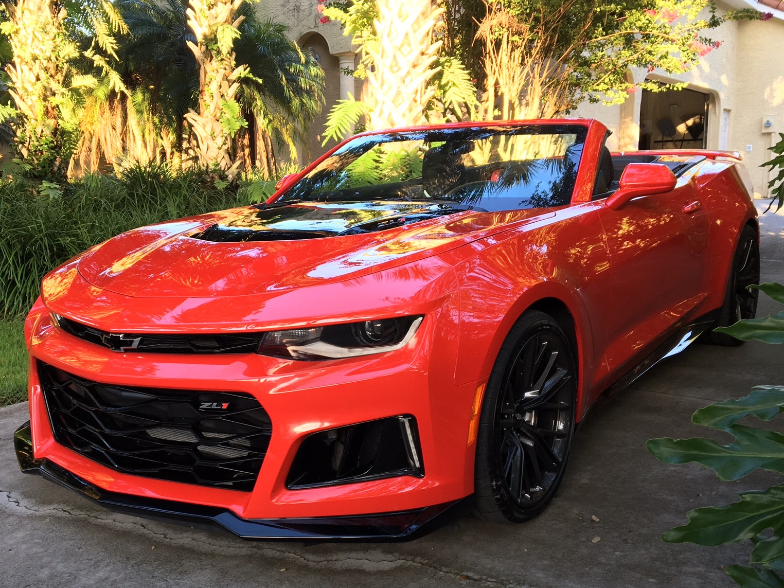 Name:  image1 - Copy.JPG
Views: 1625
Size:  611.6 KB