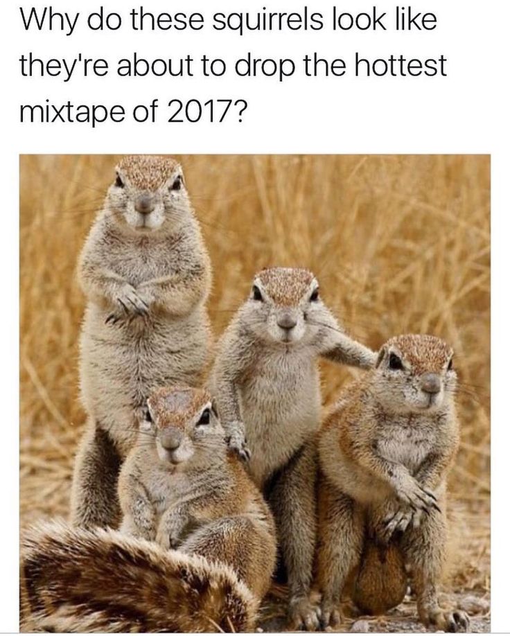 Name:  image.jpeg
Views: 2034
Size:  122.7 KB