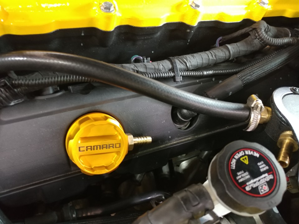 Name:  KakaoTalk_20180129_102223598.jpg
Views: 822
Size:  126.5 KB