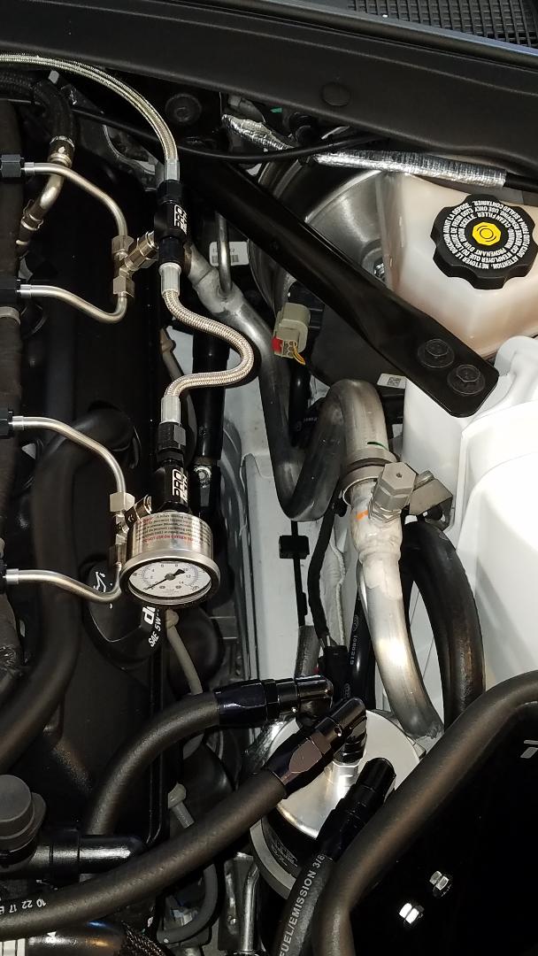 Name:  Kooks Header Rubbing 3.jpg
Views: 1856
Size:  101.0 KB