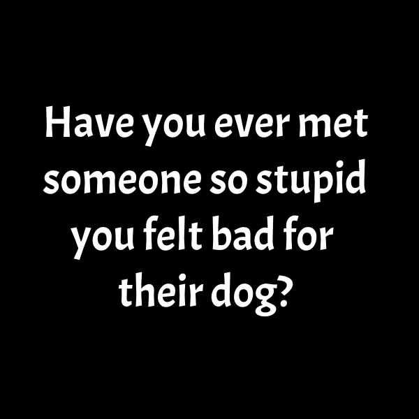 Name:  dog.png
Views: 1389
Size:  31.7 KB