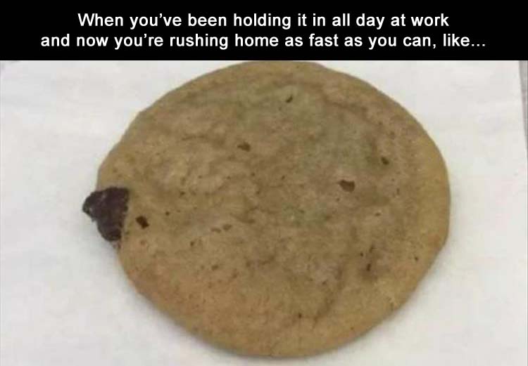 Name:  COOKIE POOP.jpg
Views: 1732
Size:  44.2 KB