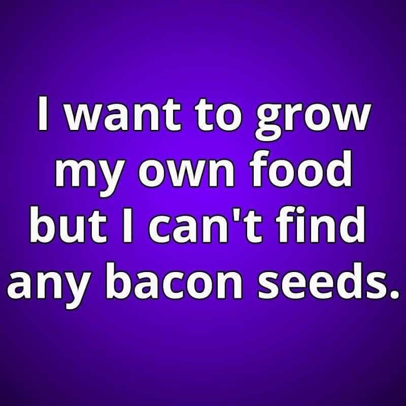 Name:  bacon.jpg
Views: 937
Size:  45.9 KB