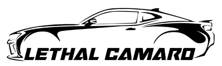 Name:  Lethal Camaro_Sm.jpg
Views: 1317
Size:  35.8 KB