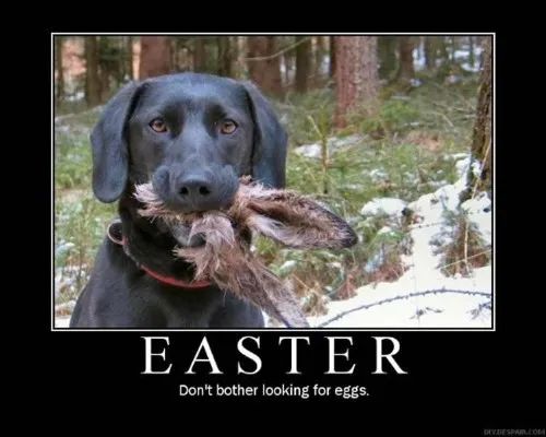 Name:  easter dog.jpg
Views: 289
Size:  32.0 KB