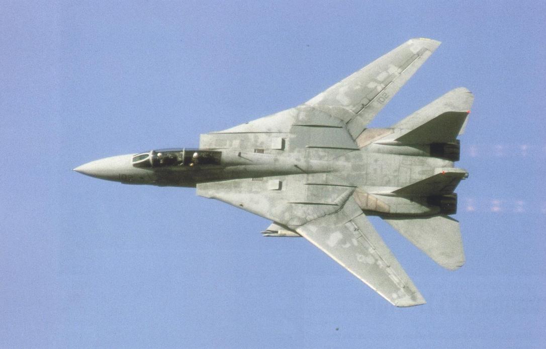 Name:  F-14_002.jpeg
Views: 1900
Size:  74.3 KB