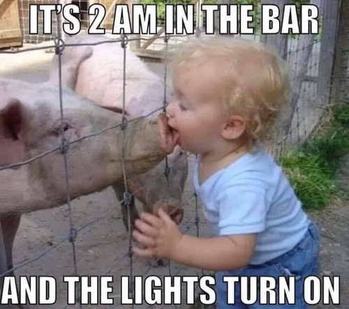 Name:  its-2am-in-bar-lights-turn-on-kissing-pig.jpg
Views: 1170
Size:  36.8 KB