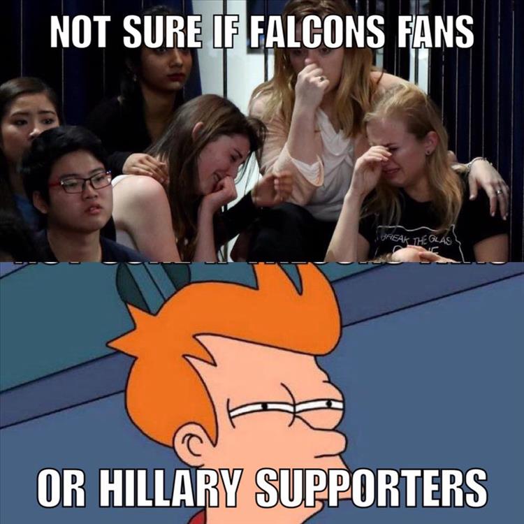 Name:  falcon-fans.jpg
Views: 1671
Size:  70.8 KB