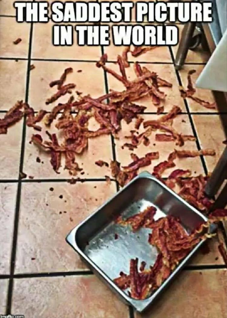 Name:  BACON ACCIDENT.jpg
Views: 910
Size:  117.9 KB