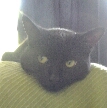 Heydownhere!'s Avatar