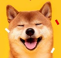 Shiba's Avatar