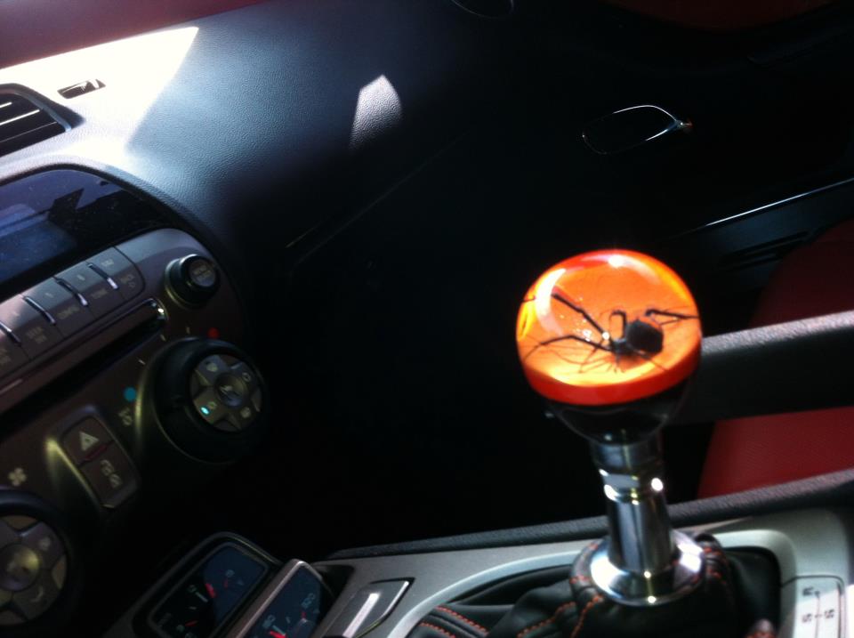 New Australian Red back Spider Shifter knob